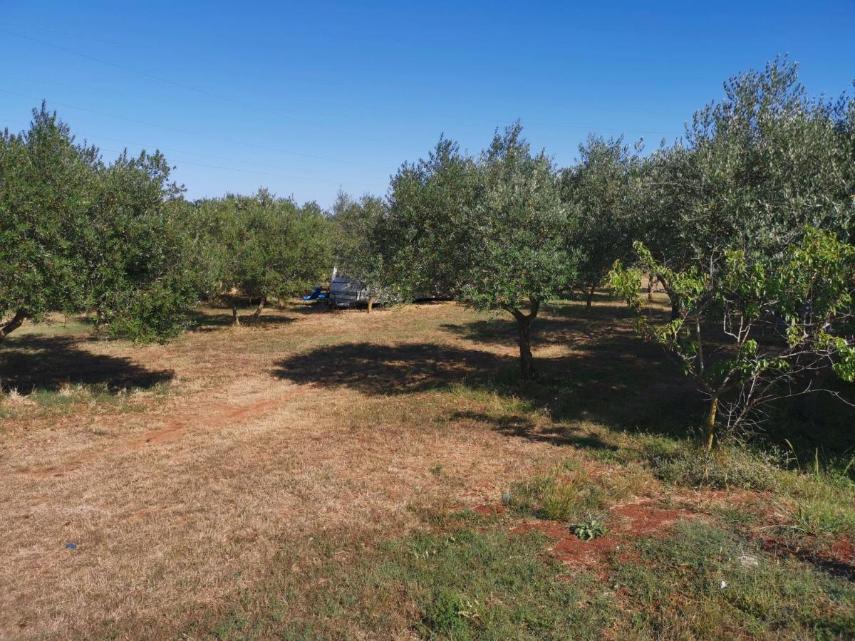 Jacuzi Cottage In The Olive Grove Pula Exterior photo