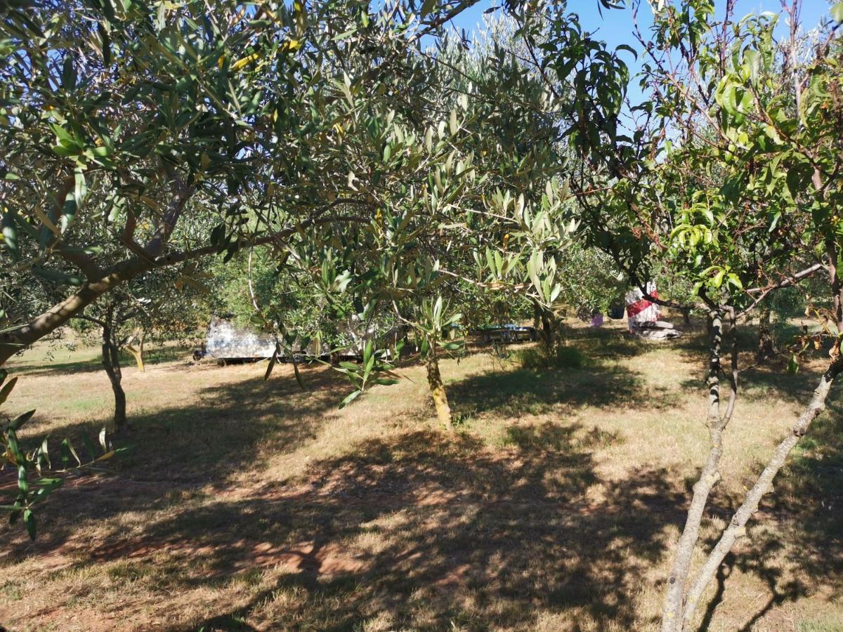 Jacuzi Cottage In The Olive Grove Pula Exterior photo