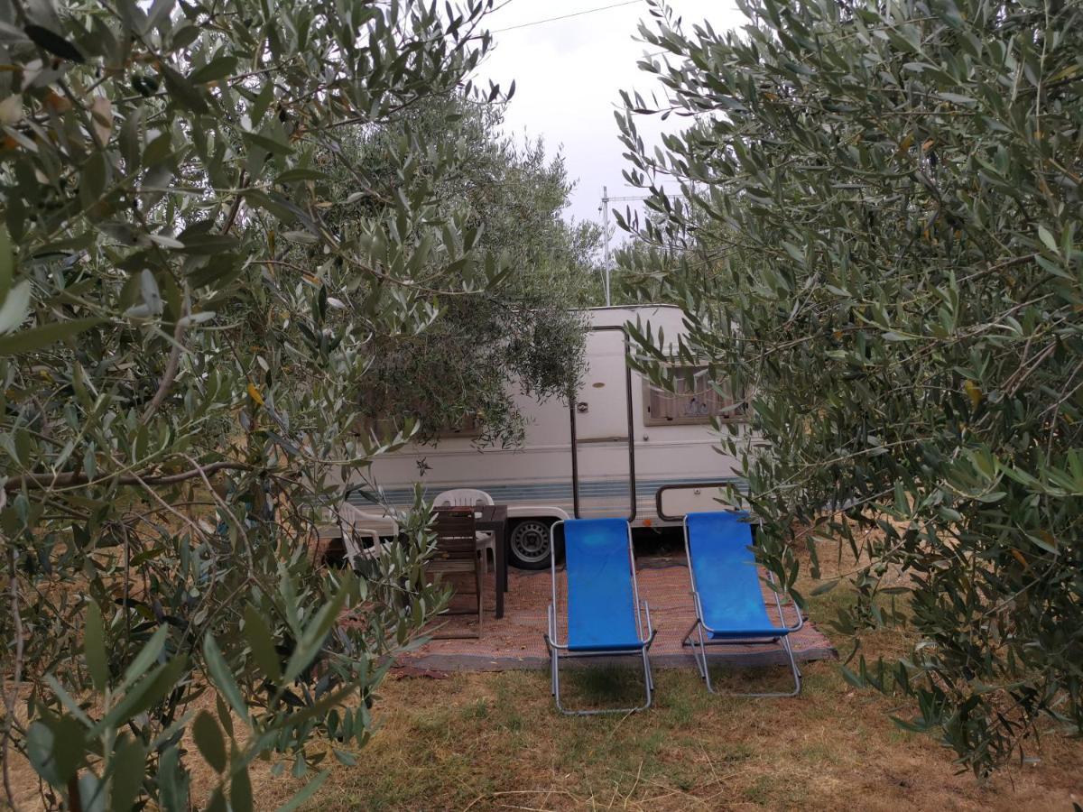 Cottage In The Olive Grove Pula Exterior photo