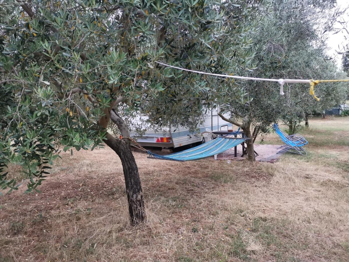 Jacuzi Cottage In The Olive Grove Pula Exterior photo