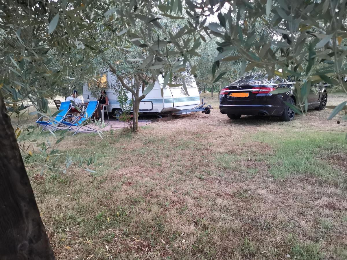 Jacuzi Cottage In The Olive Grove Pula Exterior photo